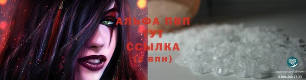 спиды Верея