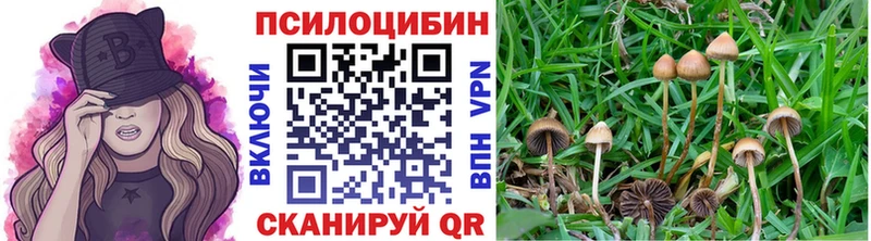 Псилоцибиновые грибы Magic Shrooms  что такое   Добрянка 